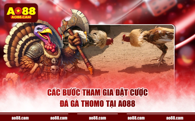 Các bước tham gia đặt cược đá gà Thomo tại AO88