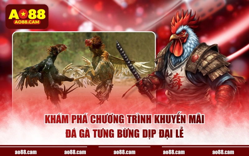 Khám phá chương trình khuyến mãi đá gà tưng bừng dịp đại lễ